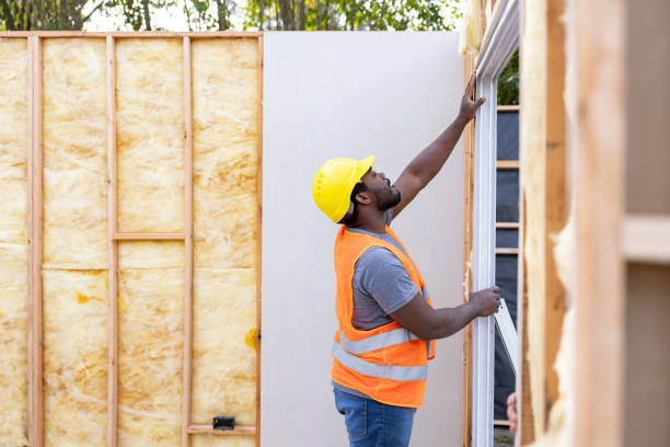 Best Insulation Removal Services  in Port Byron, IL