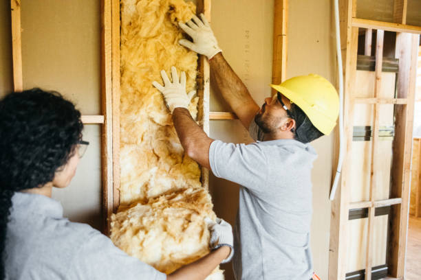 Best Energy-efficient Insulation  in Port Byron, IL