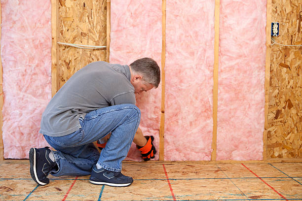Best Spray Foam Insulation  in Port Byron, IL