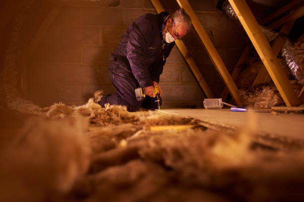 Best Residential Insulation Services  in Port Byron, IL
